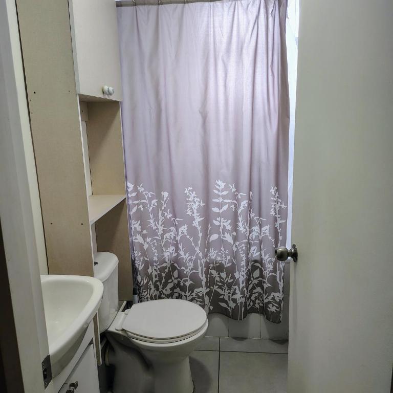 Departamento 2d1b en Villarrica - Apartamento de 2 dormitorios - 6