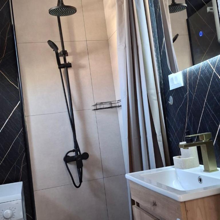 Golubovic apartmani - One-Bedroom Apartment - 7