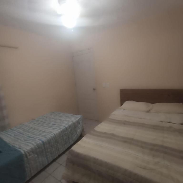 Foca planta baja - Apartment mit 2 Schlafzimmern - 2