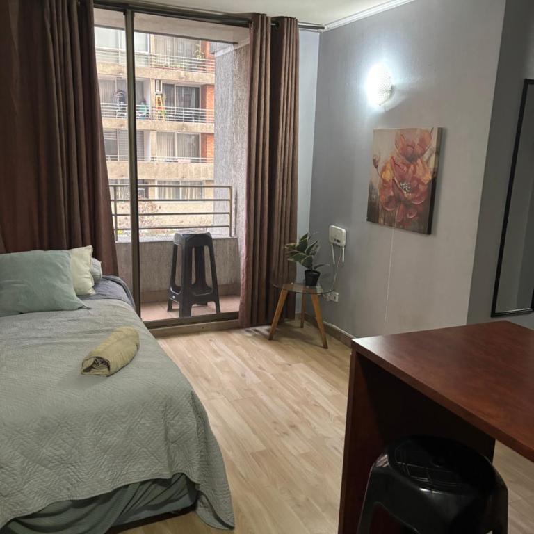 Bulnes alojamiento - Apartamento de 1 dormitorio - 9