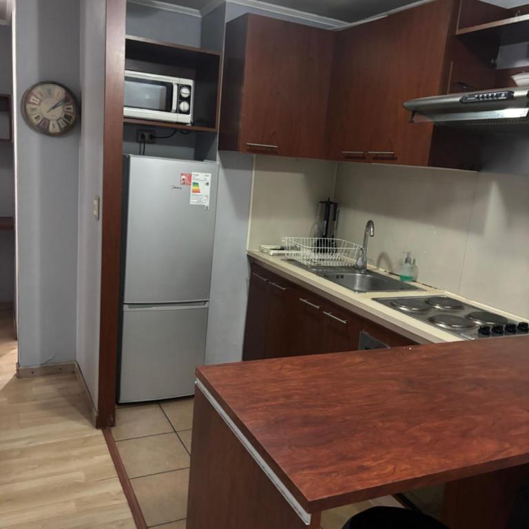 Bulnes alojamiento - Apartamento de 1 dormitorio - 13