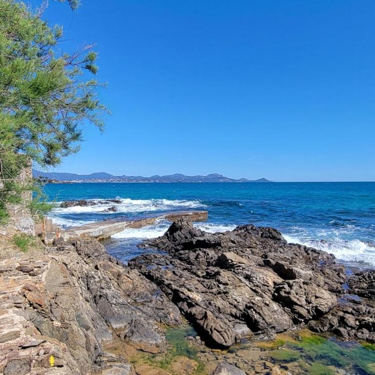 waterfront exceptional view - Appartement 2 Chambres - 3