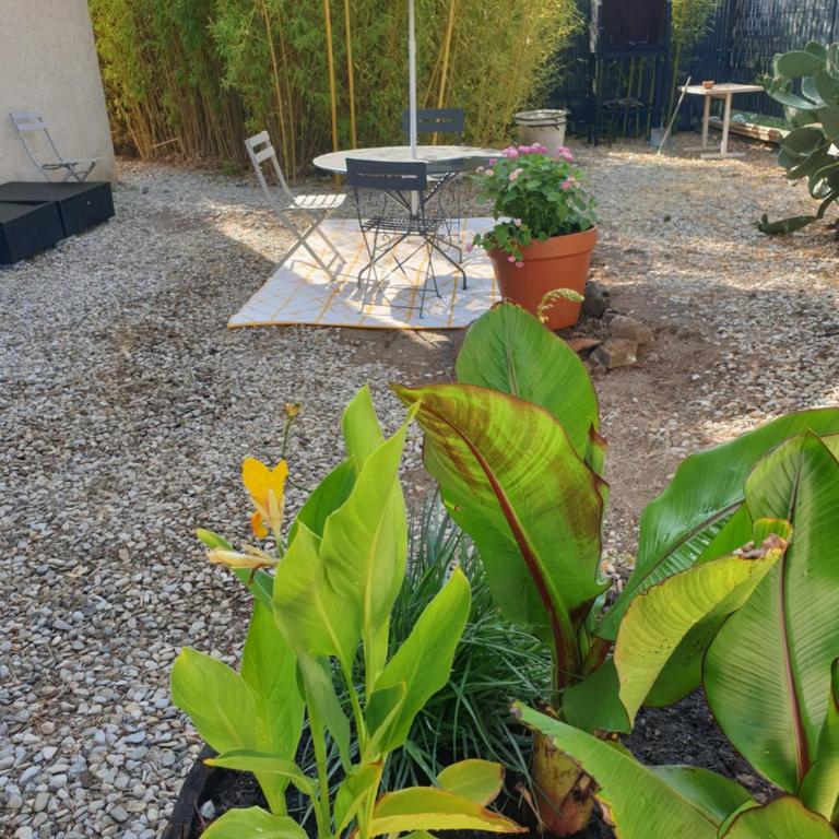 Nice apartment with garden - Appartement 2 Chambres - 31