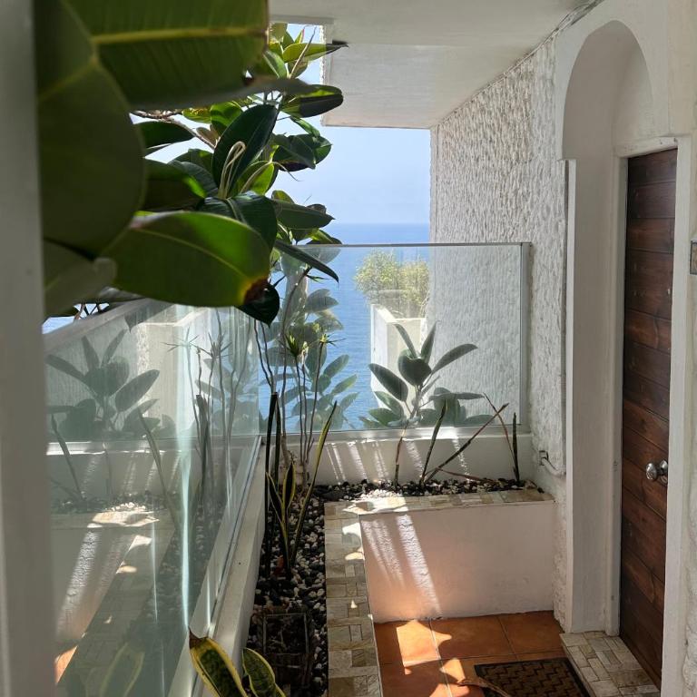 Krisant Ocean View - Apartamento de 2 dormitorios - 11