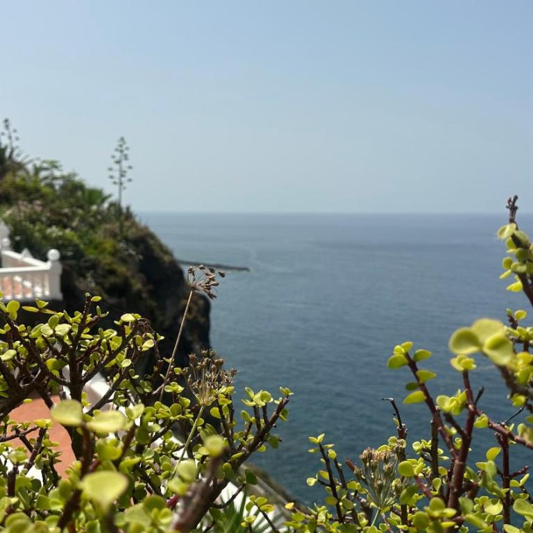 Krisant Ocean View - Apartamento de 2 dormitorios - 13