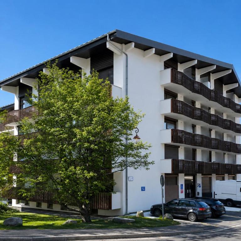 Les Carroz T2 Cosy 2 Balcons Centre - Appartement 1 Chambre - 29