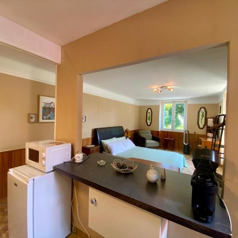 Chez Chagall cozy studio - One-Bedroom Apartment - 25