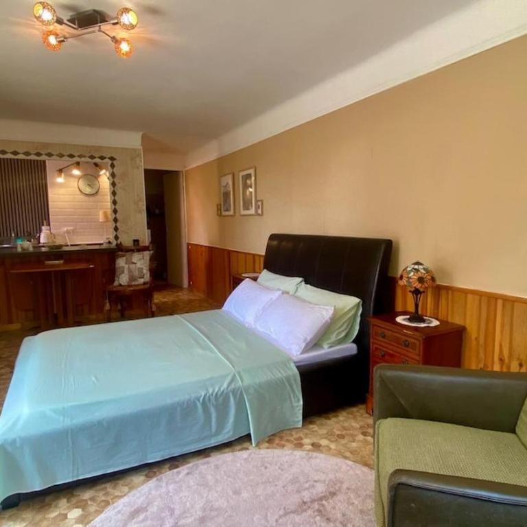 Chez Chagall cozy studio - One-Bedroom Apartment - 40