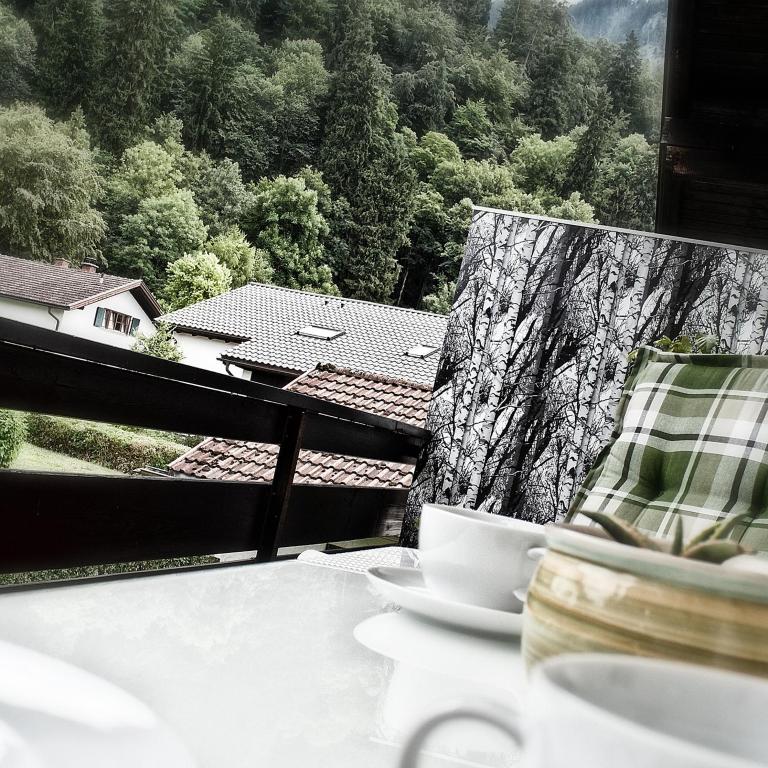 Hofwiese - Apartment mit Blick auf die Berge - 7