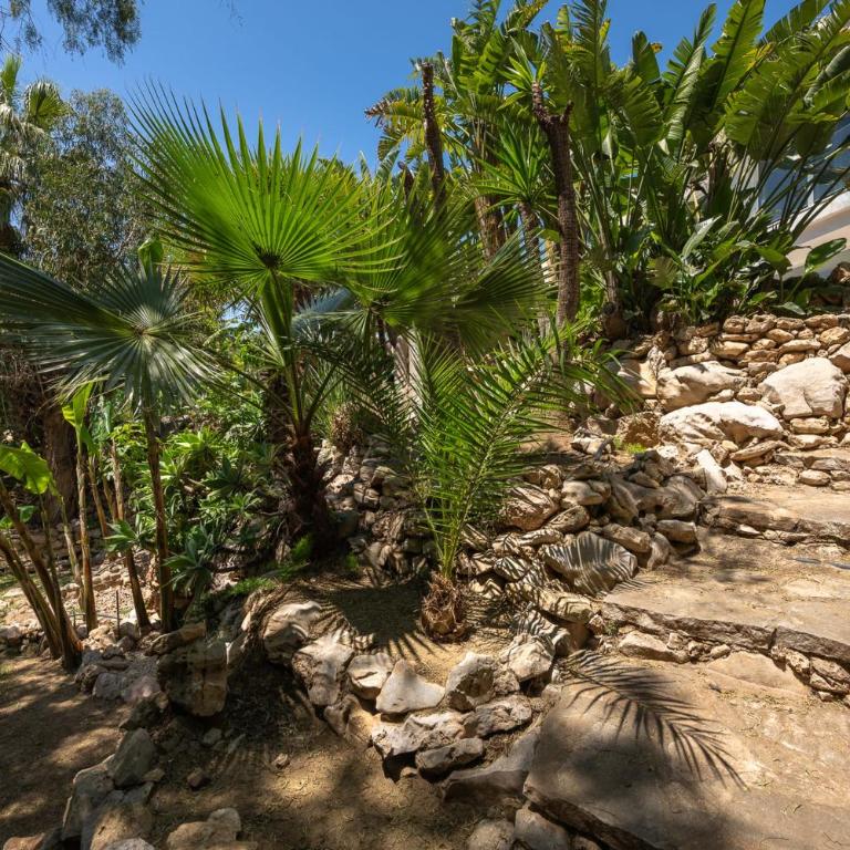 Exceptional Villa in Las Chapas with breathtaking panoramic views! - Villa - 92
