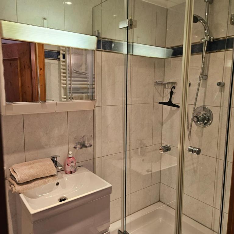 Hotel Pension Geiger - Two-Bedroom Apartment with Mountain View - Annex - 11