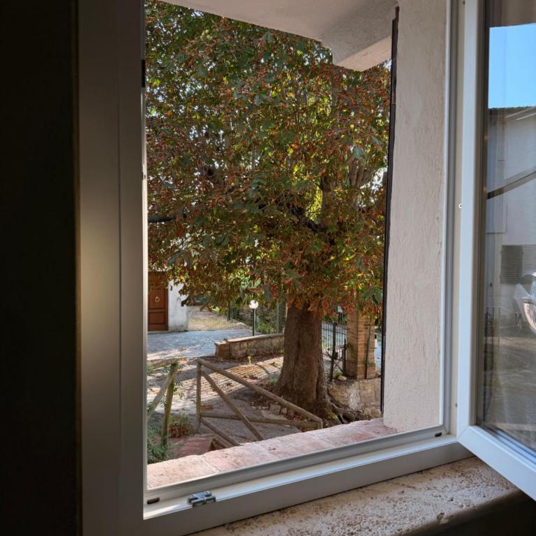 Collazzi House - Tuscany Dream - Appartamento con 2 Camere da Letto - 8