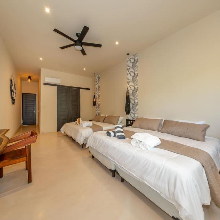 Luxury Villa with Private Pool in Playacar - Villa avec Piscine Privée - 60