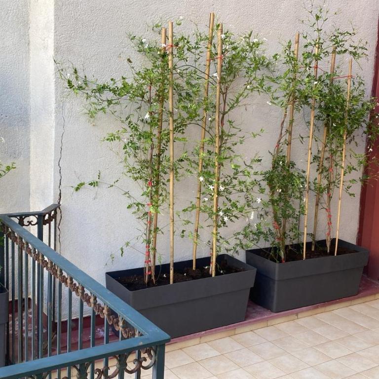 Le Terrazze dei Gelsomini - Appartamento con 2 Camere da Letto - 9