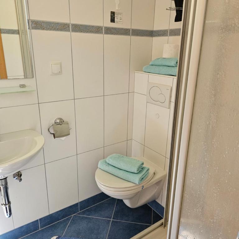 Haus Pfeifenberger - Appartement 1 Chambre - Vue sur Jardin - 22