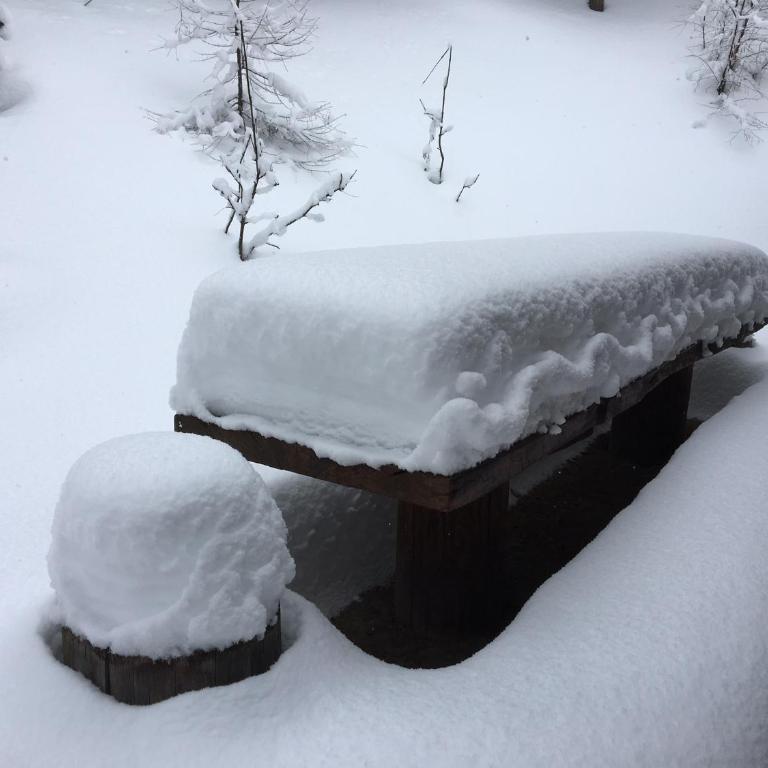 Chalet des Mélèzes - Chalet Supérieur - 20
