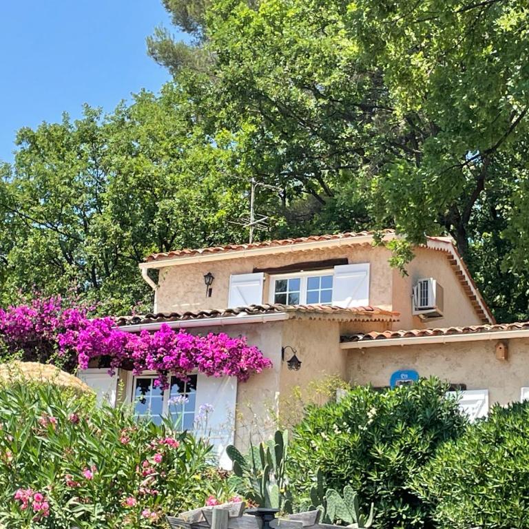Villa Jade - Villa - 1