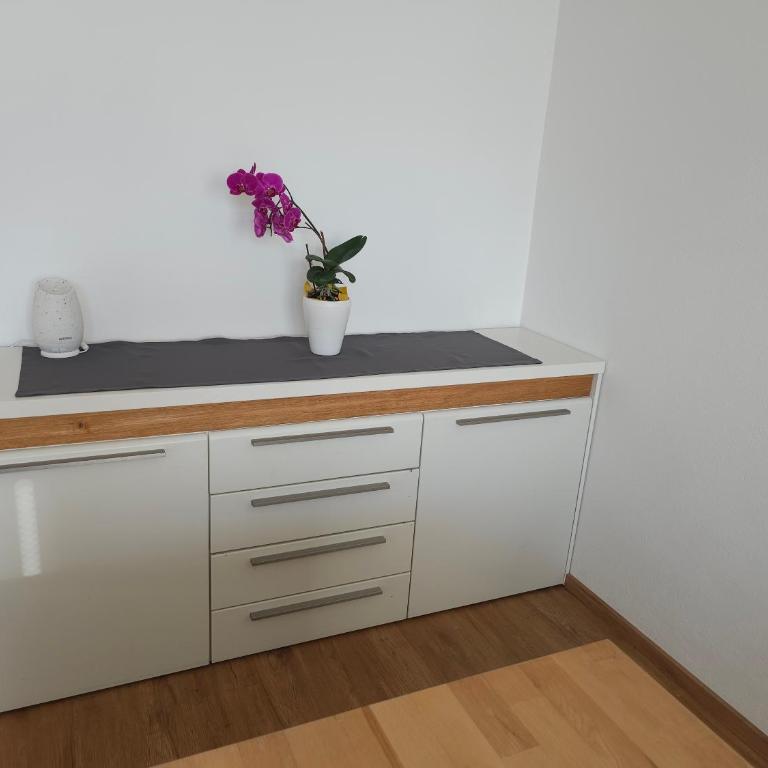 Haus Pfeifenberger - Appartement 1 Chambre - Vue sur Jardin - 27