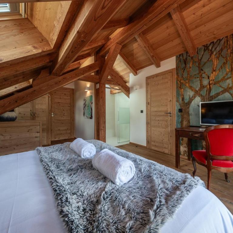 Aiguillette - Chalet - 9