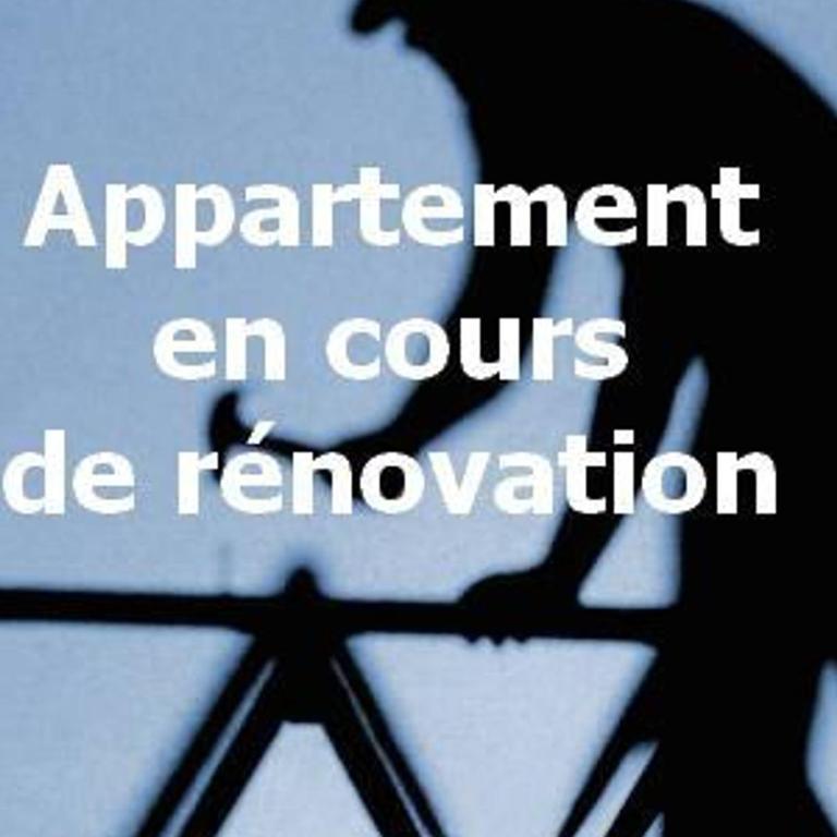 Studio divisible au cœur de station, animaux admis - Studio - 1