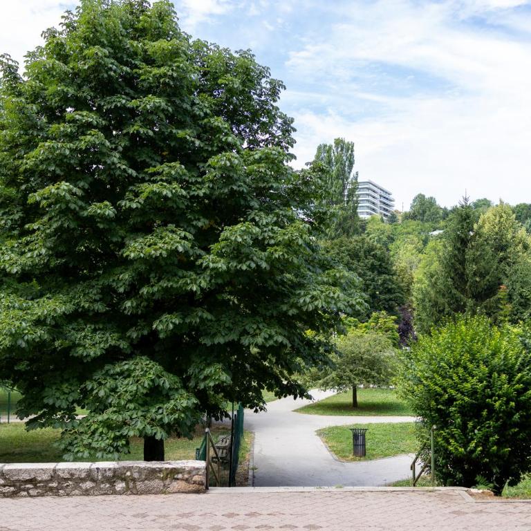 Modern Apt in center of Sarajevo with Free Parking - Apartman sa 2 Spavaće Sobe - 22