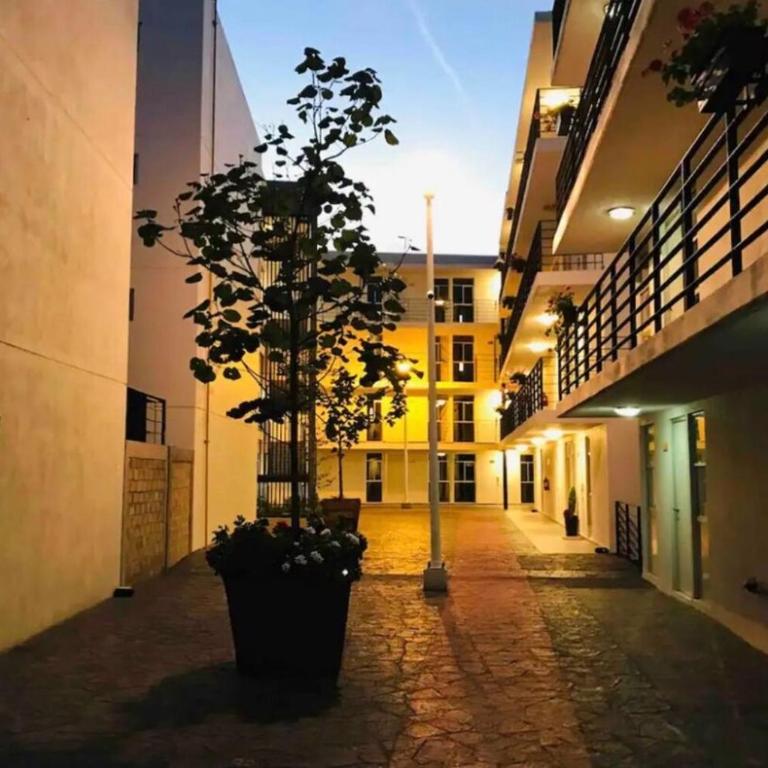 Comfortable apartment near Arena GDL and the Zoo - Two-Bedroom Apartment - 28