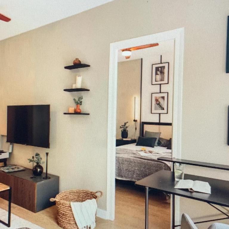 Residence Mozart - Appartement 1 Chambre - 11
