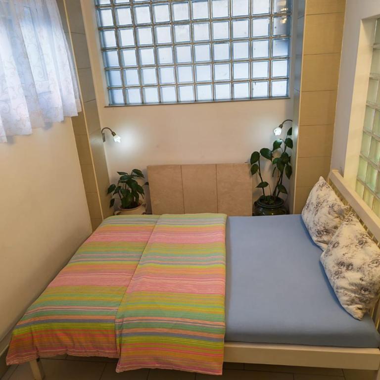 Vučko - One-Bedroom Apartment - 2