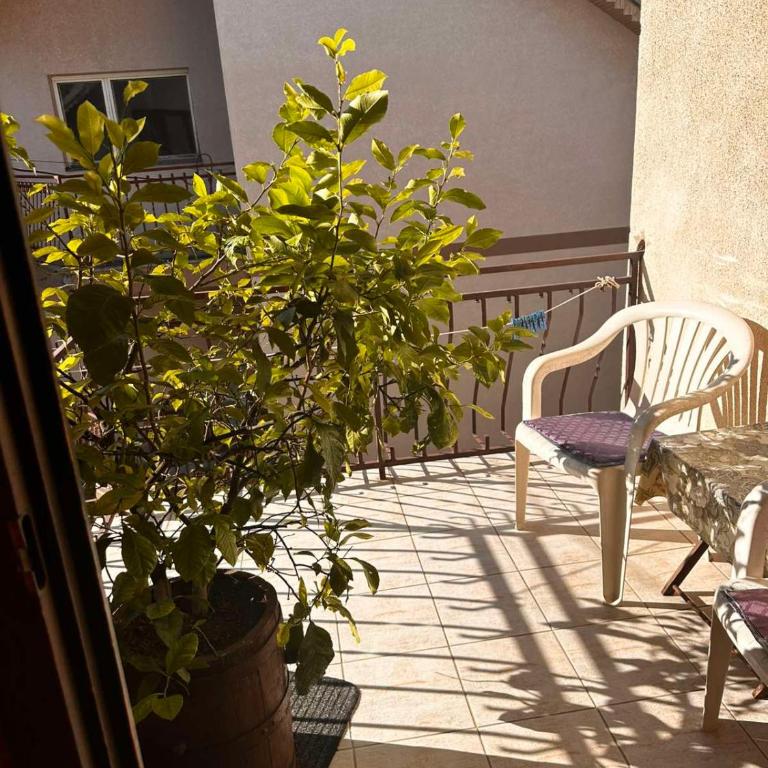 Ristic - Appartement 3 Chambres - 22