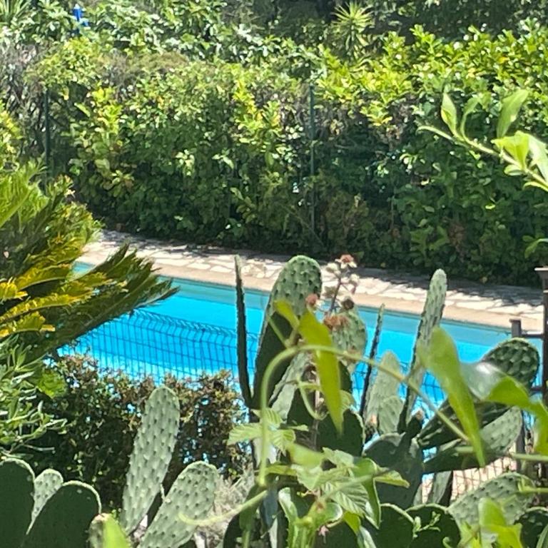 Villa Jade - Villa - 2
