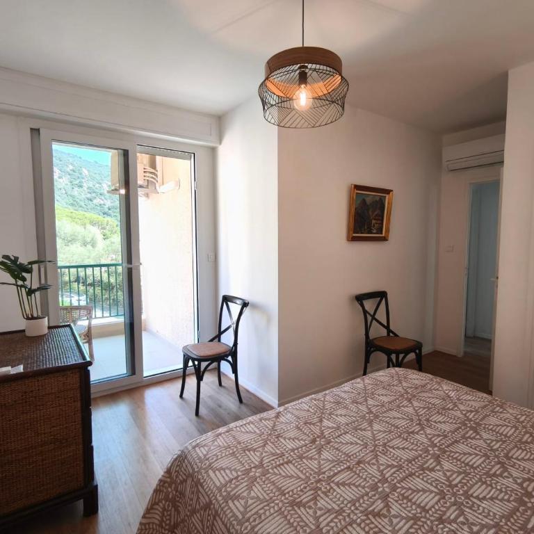Vue panoramique mer et Sanguinaires, terrasses - Appartement - 9