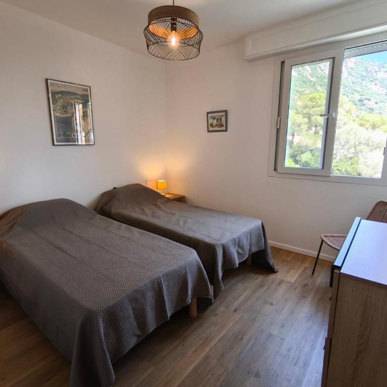 Vue panoramique mer et Sanguinaires, terrasses - Appartement - 10