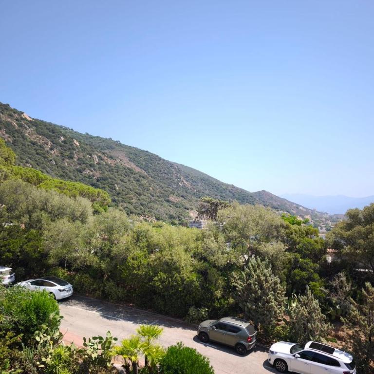 Vue panoramique mer et Sanguinaires, terrasses - Appartement - 15
