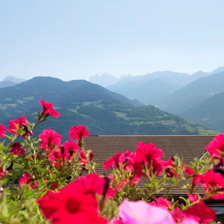 Wiesenrain Apartment Bergblick - Superior Apartment mit 1 Schlafzimmer und Balkon - 11