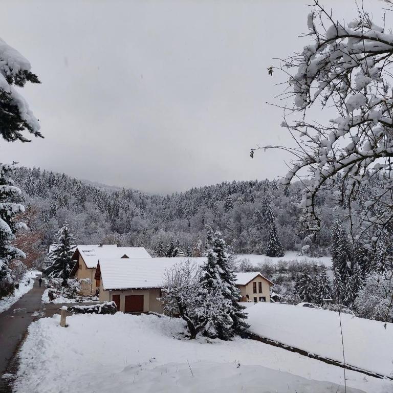 Gîte du ruisseau - Apartment - Erdgeschoss - 12