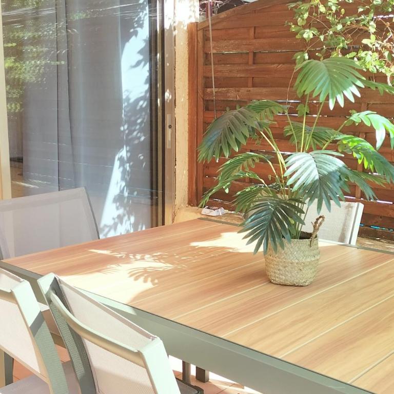 Studio rénové avec terrasses et parking - Studio - 11