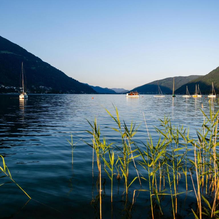 Apartment Landskron am Ossiachersee - Apartment mit 1 Schlafzimmer - 18