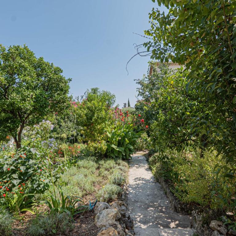 La Maison Fleurs - Villa et jardin près de Cannes - Villa - 53
