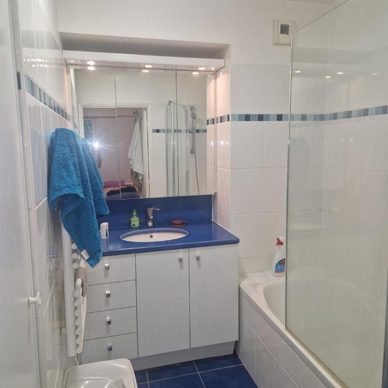 Charming 2-room apartment in Paris 15th arrondissement - Appartamento con 1 Camera da Letto - 6