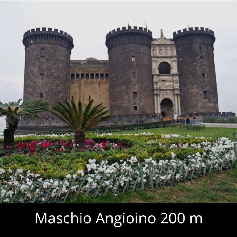 Santa Chiara Apartment - Appartamento - 55