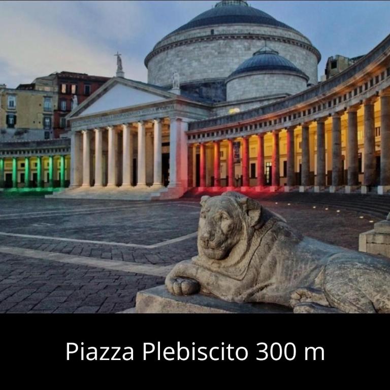 Santa Chiara Apartment - Appartamento - 59