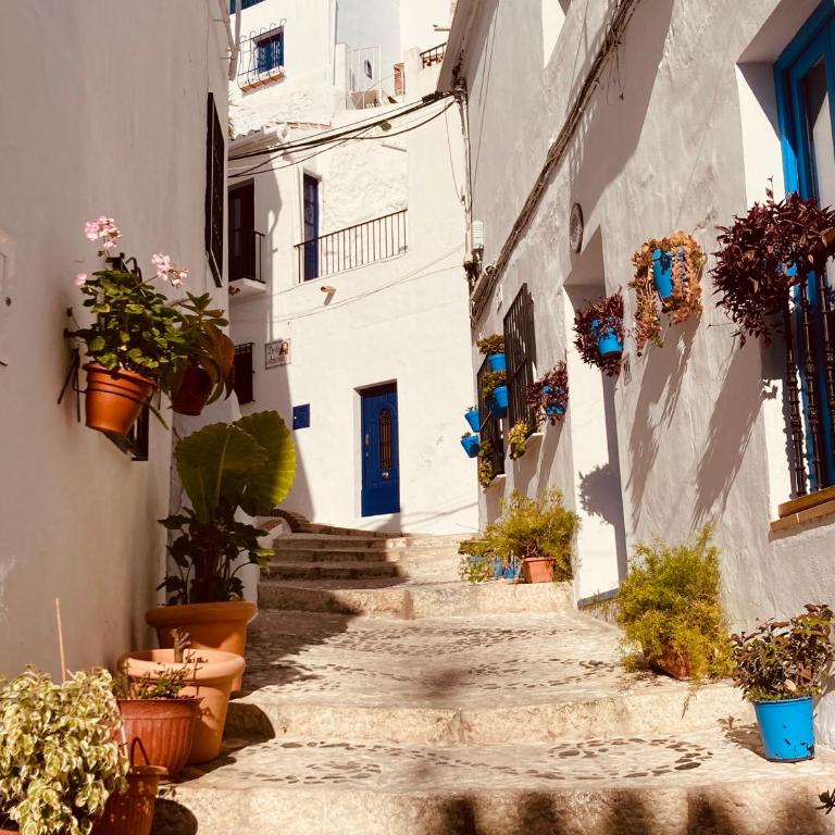 Casa Rosario Frigiliana - Historic townhouse with amazing rooftop terrace - Casa de 3 dormitorios - 10