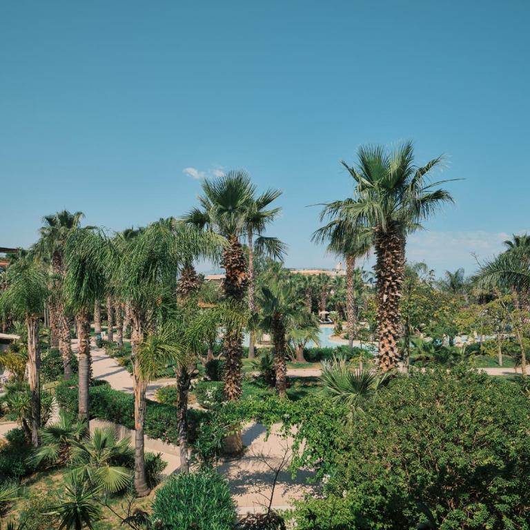 Acacia Resort - Camera Superior Matrimoniale/Doppia con Letti Singoli con Vista Piscina - 6