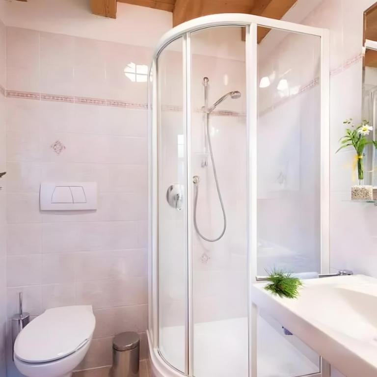 Platschgolerhof - Appartamento Deluxe con 2 Camere da Letto e Vista Giardino - 6