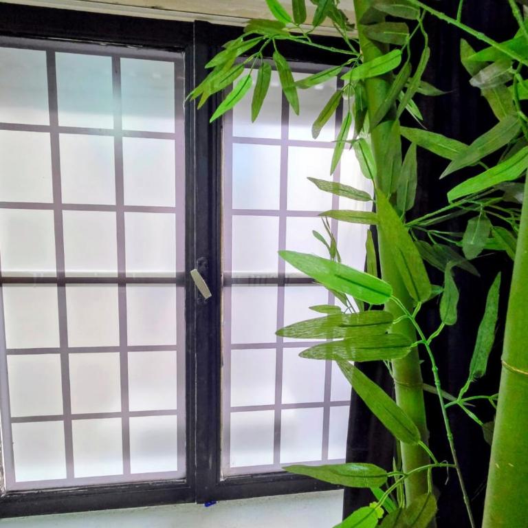 Casa Zen a metros del Buen Pastor Depto entero con lavarropas - Apartamento de 1 dormitorio - 21