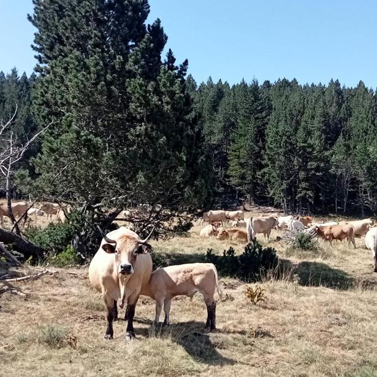 Les angles vue magnifique ! - Appartement - Rez-de-Chaussée - 16