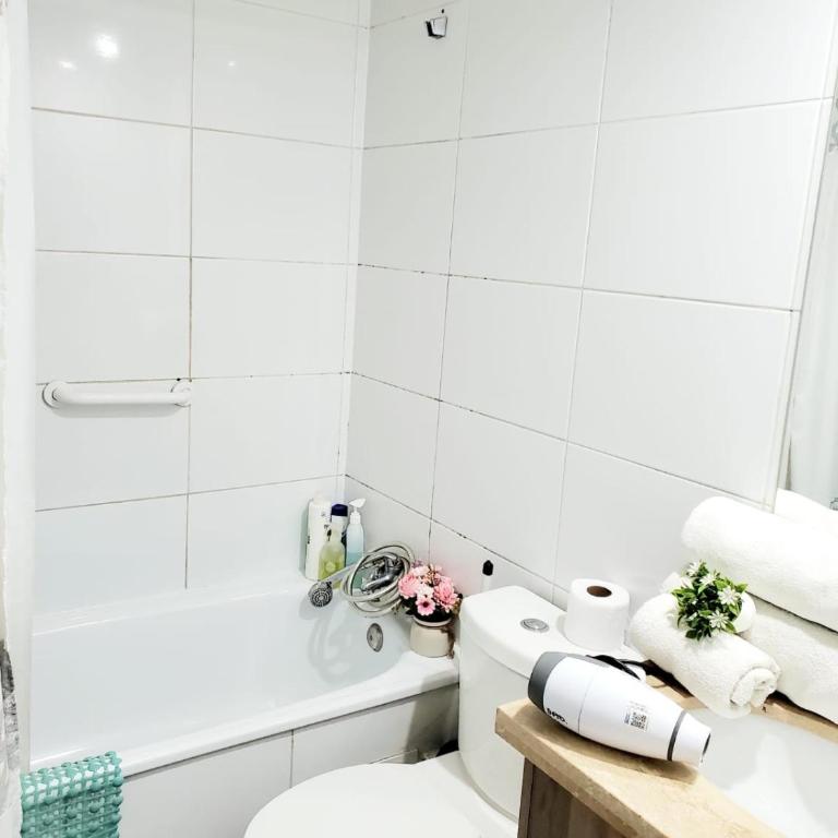Dpto amoblado Metro Santa Lucia cerca Providencia - Apartamento de 1 dormitorio - 3