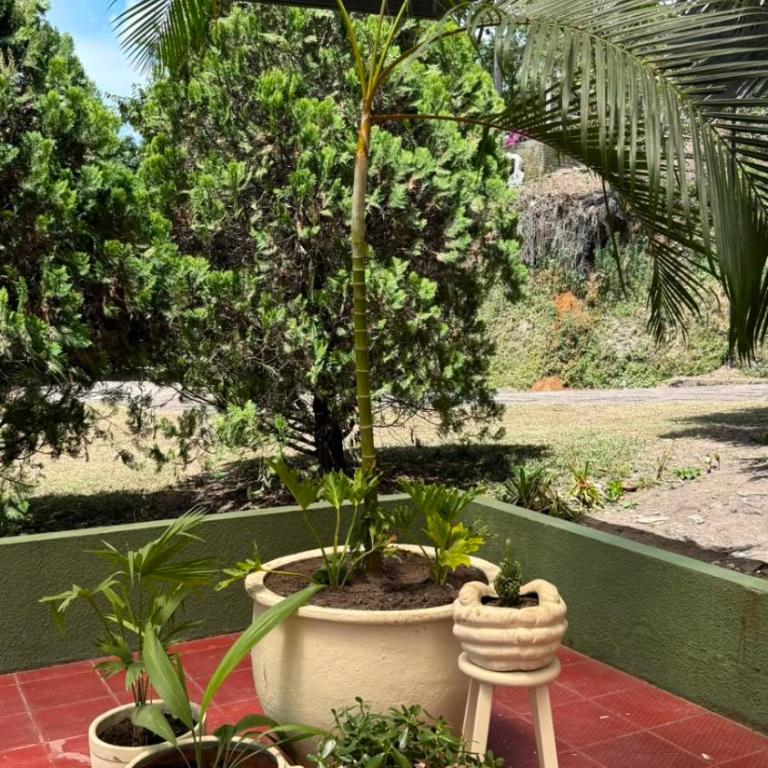 Finca SAN JAVIER - Villa con piscina privada - 7