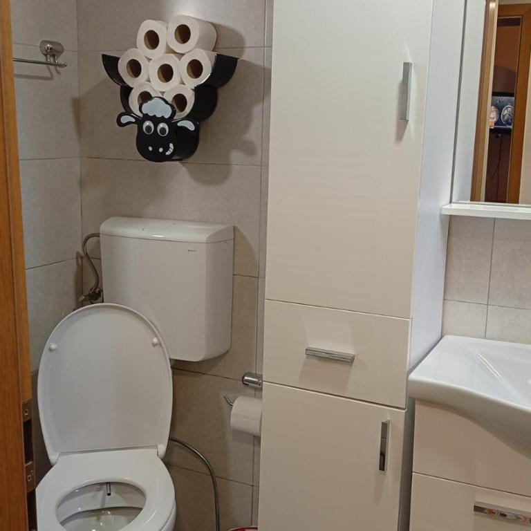 Apartman sa garažom i internetom - Apartman sa 1 Spavaćom Sobom - 22