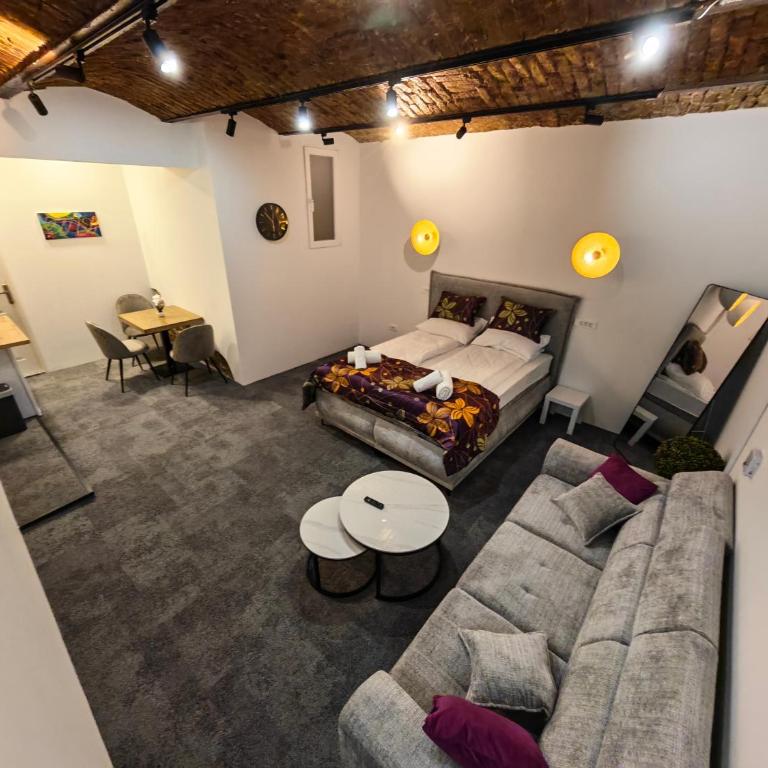 Apartments Guinness - Deluks Soba sa Bračnim Krevetom (Queen-size) - 5